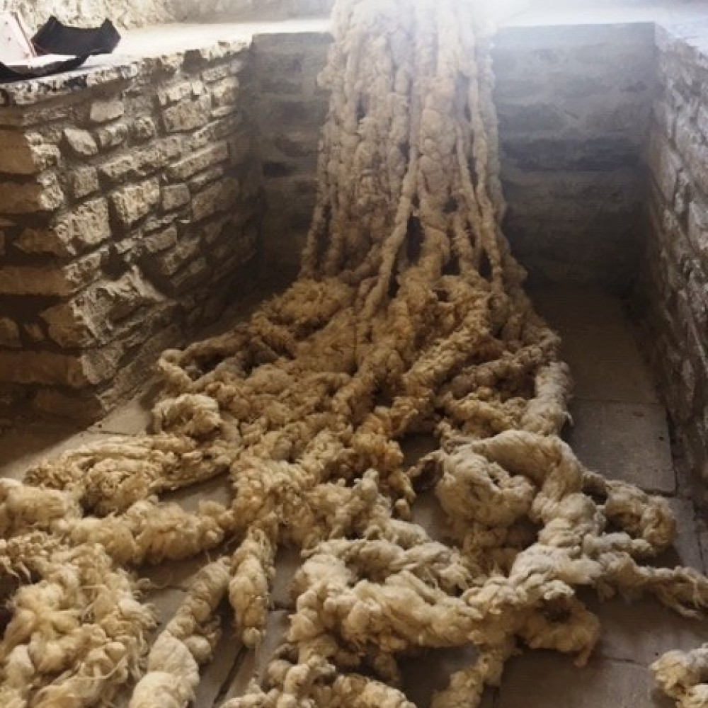 Bernadette Burns , Wendy Dison,  Nicola Kelly, Tess Leak and Gana Roberts