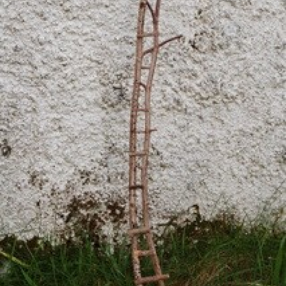 Forest Art Family Workshop