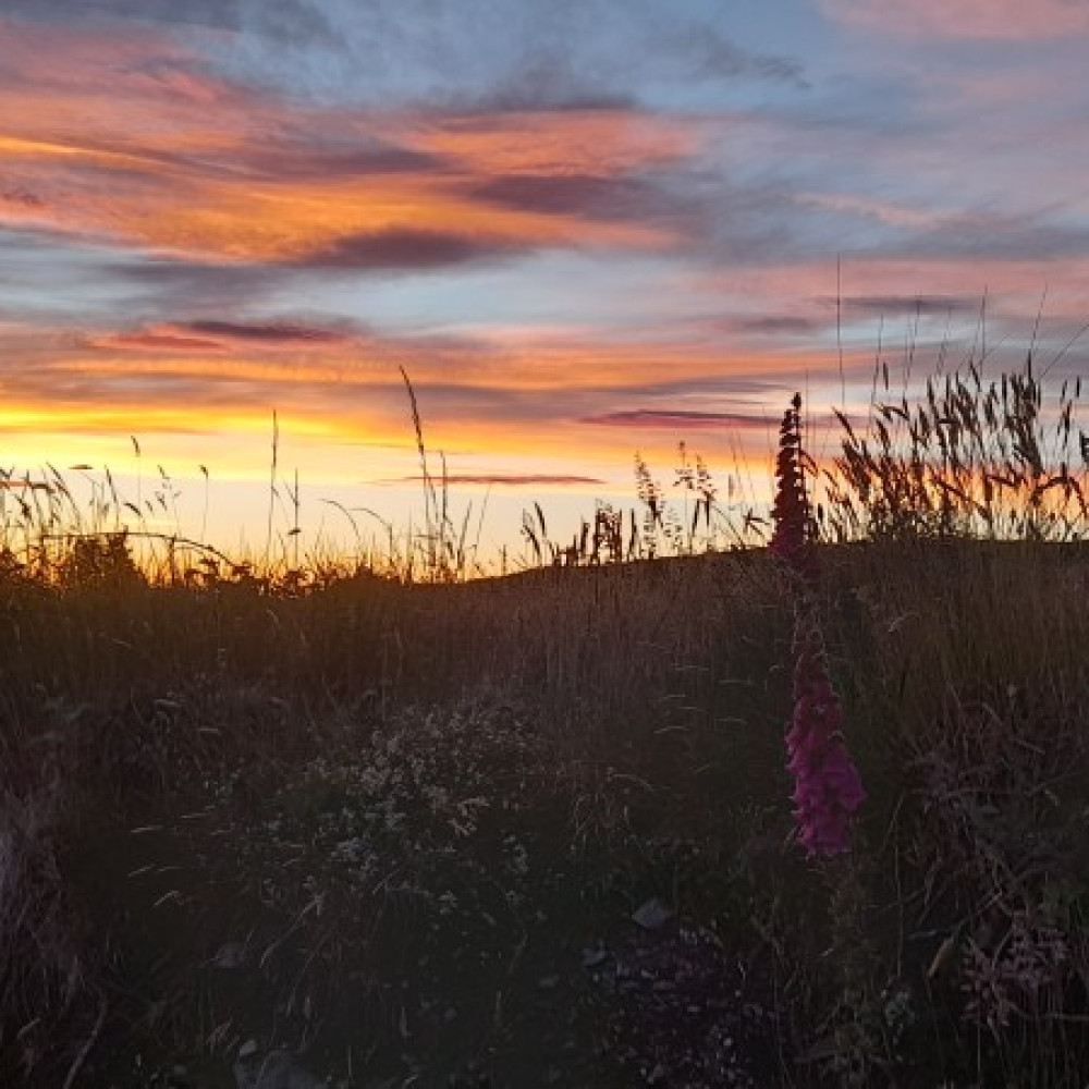 Nourishing Sound in the Park