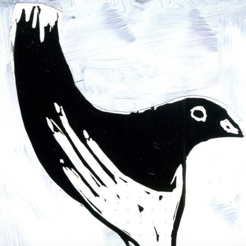 Mindfulness and Forest Bathing @Liss Ard Estate 